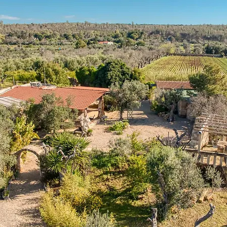 بيت ضيافة Guest House Torre Mozza 3*