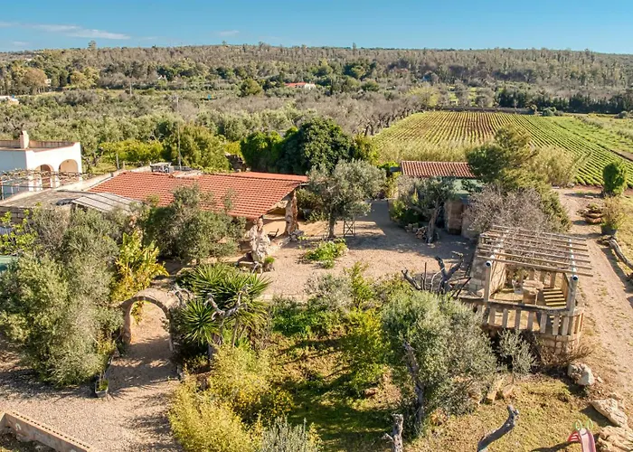 招待所 Guest House Torre Mozza 3*